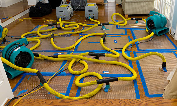 Professional Structural Drying And Dehumidification technician working in Lake City, IA